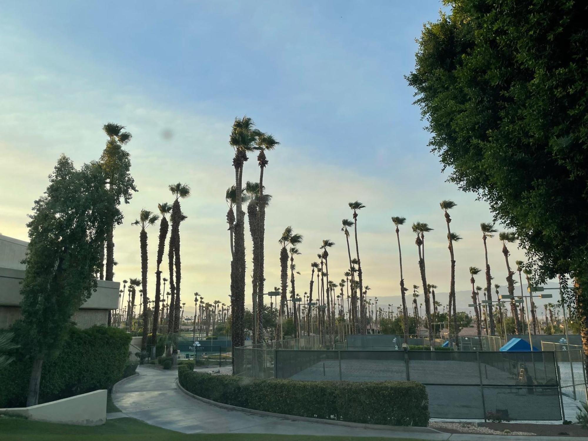 Palm Valley Cc Pickleball, Tennis, Gym, Clubhouse, Swimming Pools, Lux, Spac 2 Bdrms Den 2 Ba Palm Desert Exterior foto